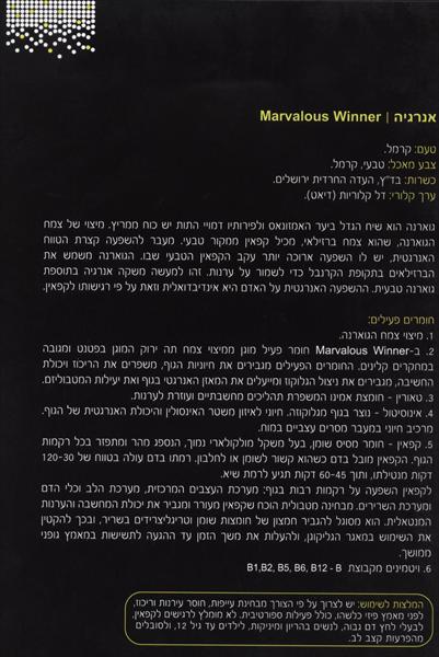 Winner- אנרגיה