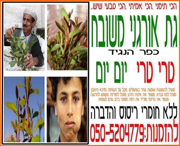 פלייר שיווקי
