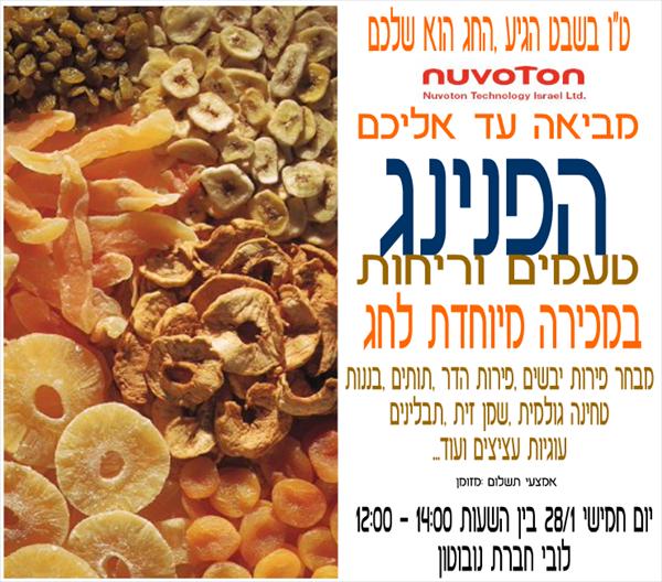 פלייר שיווקי