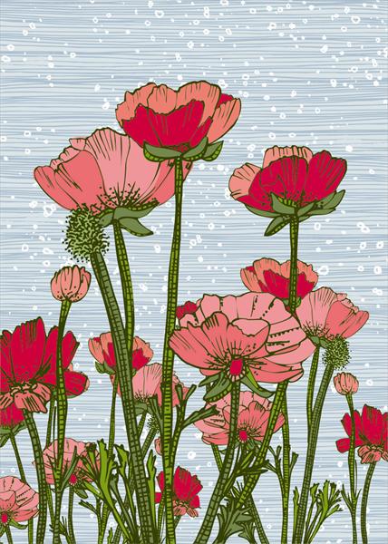 red buttercup