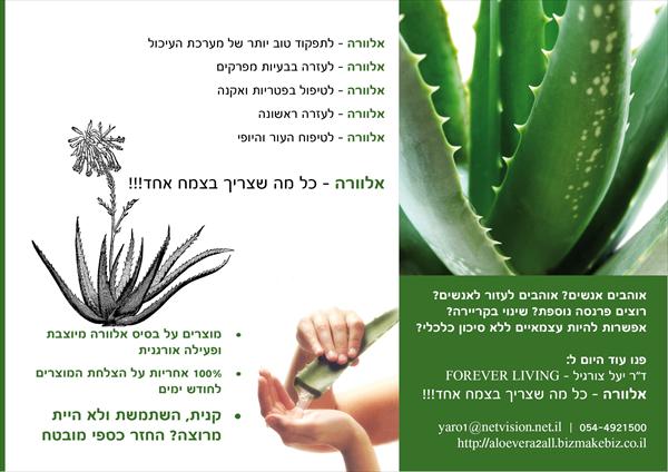 אלוורה