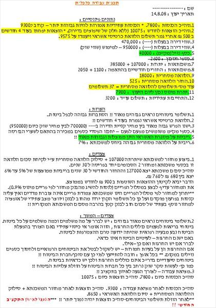 הכנת תוכנית פעולה כלכלית