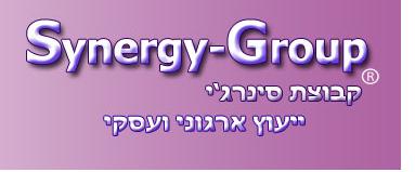 אתר עסקי לחברת סינרג'י גרופ