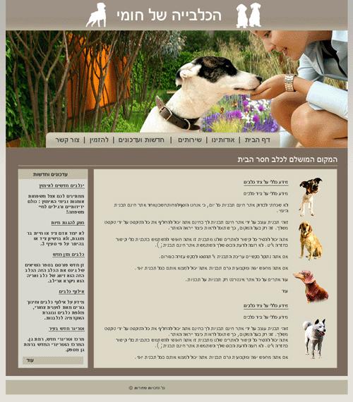 אתר תדמיתי