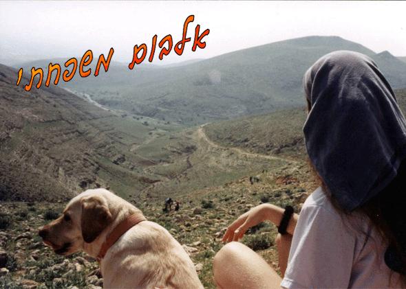 אלבום משפחתי