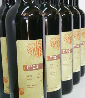 עיצוב תדמית ליקב נבות
