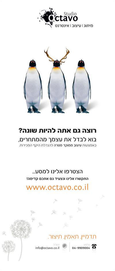 עיצוב רולאפ