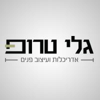 עיצוב לוגו בוניית שפה עיצובית