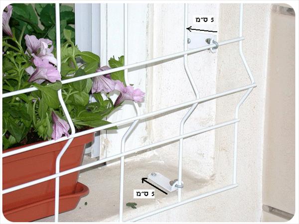 סורגית - מבט מקרוב