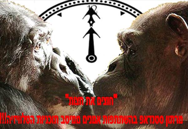 מופעי אולמלא