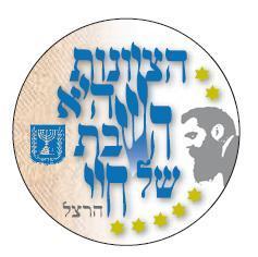 סיכת דש