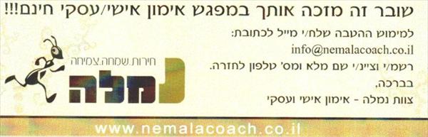 נמלה אימון אישי ועסקי