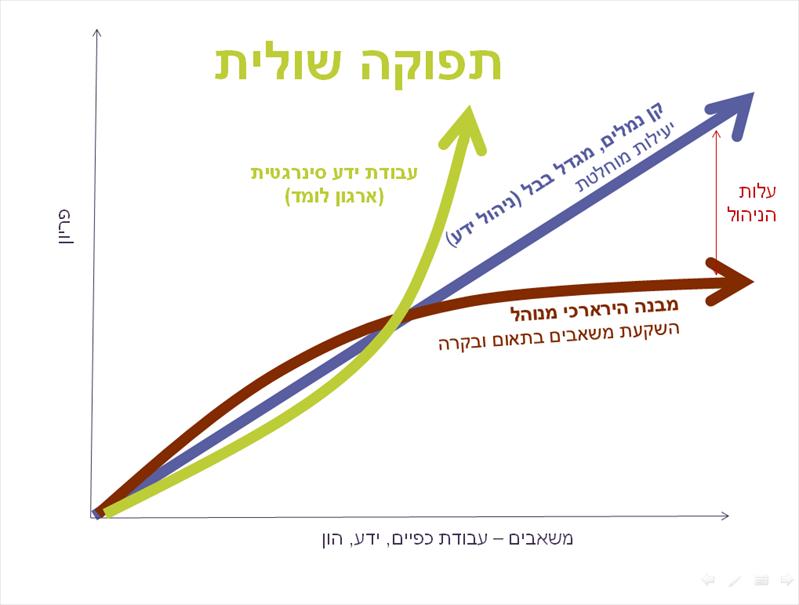 הרצאה: תפוקה שולית