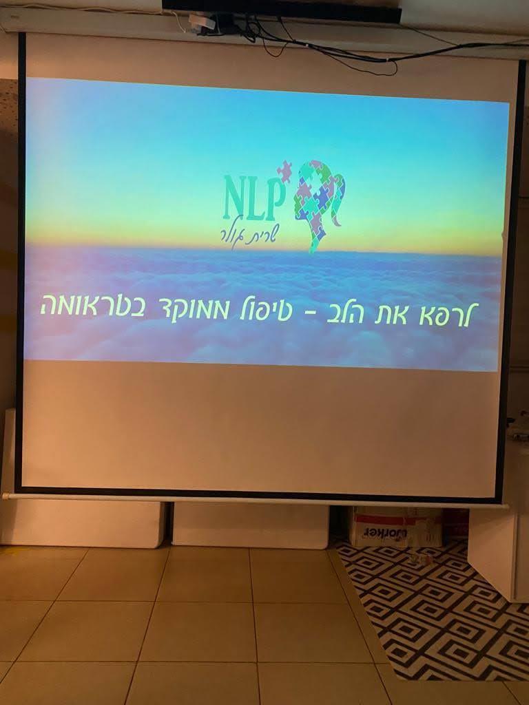 הצל שלי ואני - טראומה החלמה ומה שביניהם