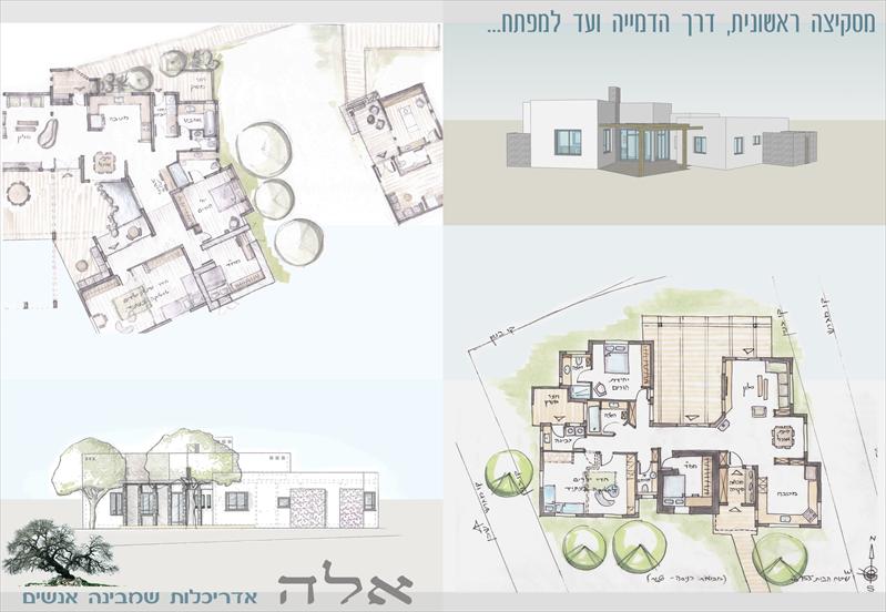 מבחר עבודות תכנון בשלבים השונים