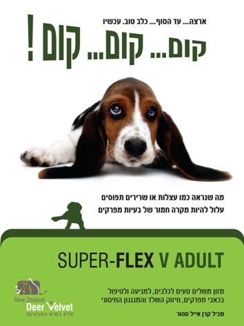 עלון שיווקי
