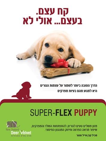 עלון  שיווקי