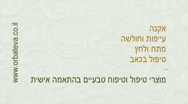 אנה כרטיס ביקור צד ב