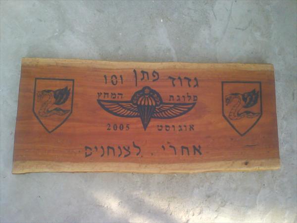 שלט צנחנים