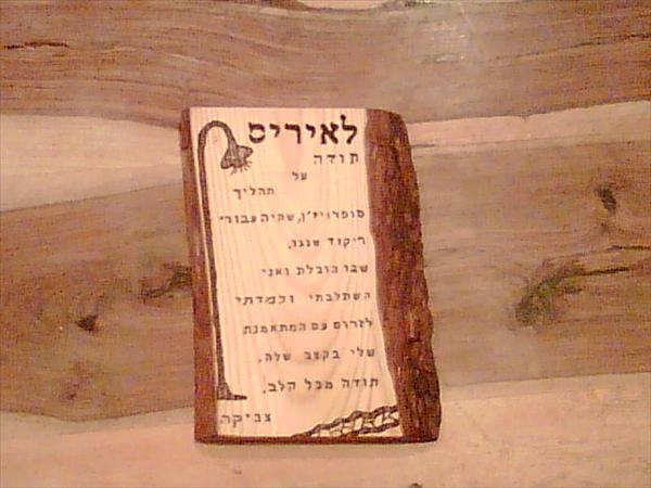 שלט הוקרה
