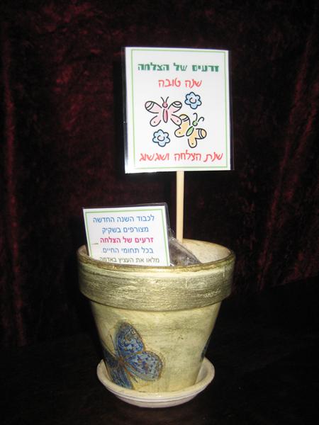 עציץ נוי "זרעים של הצלחה"