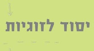 דיסק על זוגיות - 10 אבני יסוד לזוגיות נכונה