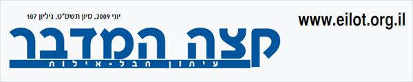 כתבות לעיתון