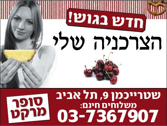 מגנט סטנדרט