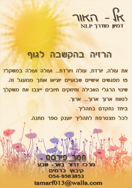 פלייר