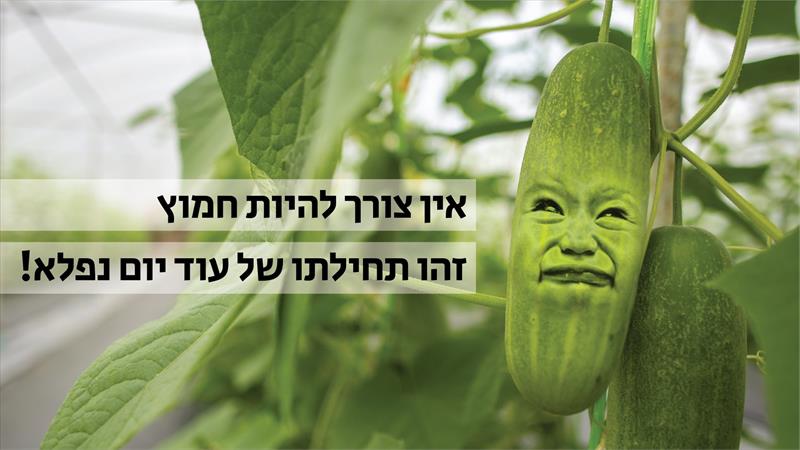 מודעות מעוצבות בפוטושופ