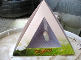 פירמידת גולם