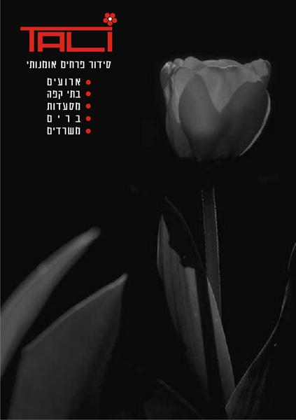 זרי כלה-גלויה