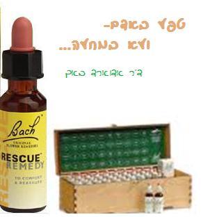 פרחי באך