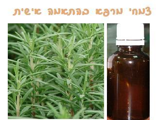 יעוץ הרבליסטי