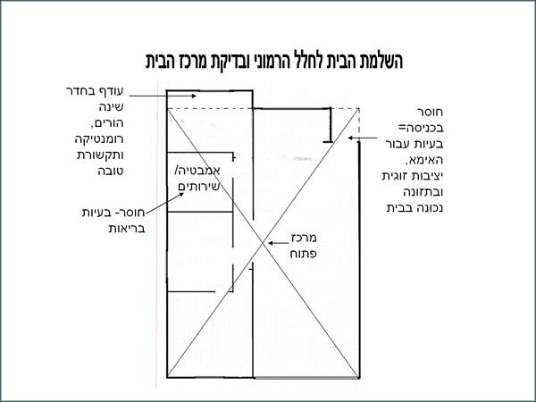 שלב א' בבדיקת הבית/העסק לפי הפנג שואי