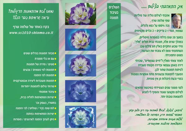 פרוספקט שלמה שרף