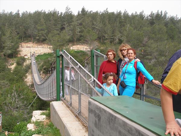 טיול לגשרים התלויים