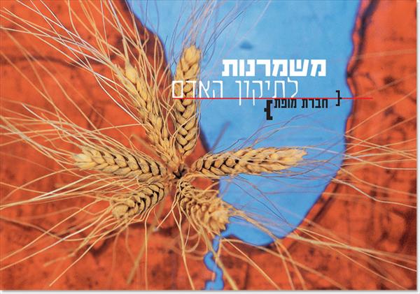 המסע לארץ ישראל