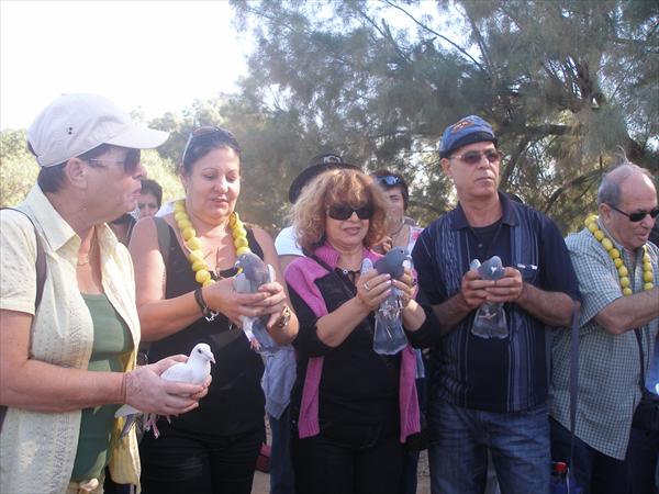 משלוח יונות דואר לבקשת משאלות