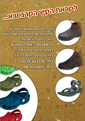 עיצוב פלאייר