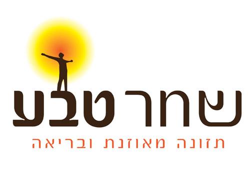 עיצוב לוגו