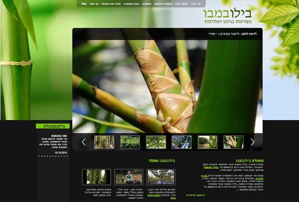 הקמת אתר אינטרנט
