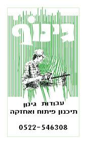 כרטיס ביקור