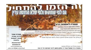 אינסרט