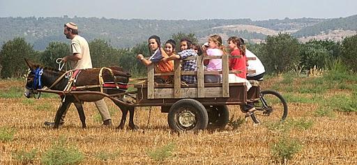 טיול בעגלה וחמור