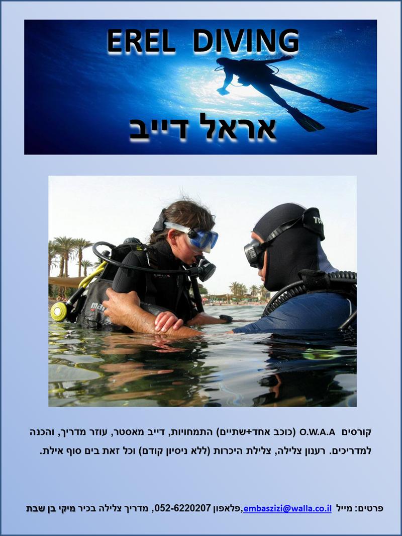 דף לוגו