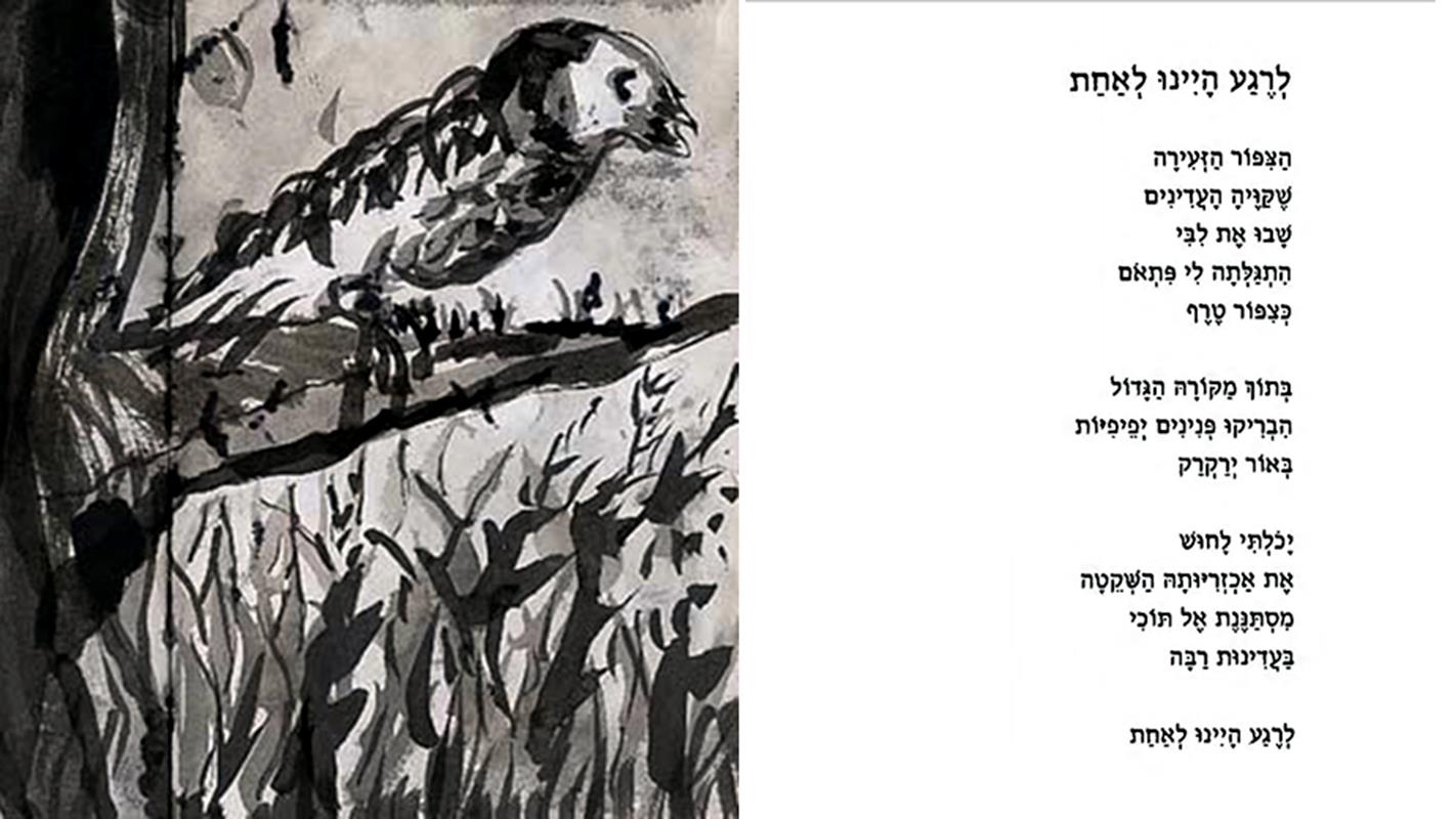 רפי פרץ סמדר שרת משוררת יוצרת אמנית ישראלית עכשווית מודרנית יוצרות ישראליות מודרניות עכשוויות יצירה