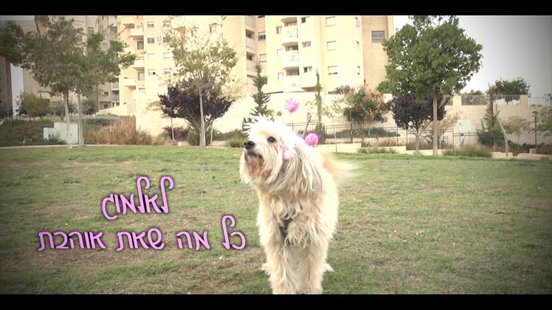 קליפ בת מצווה