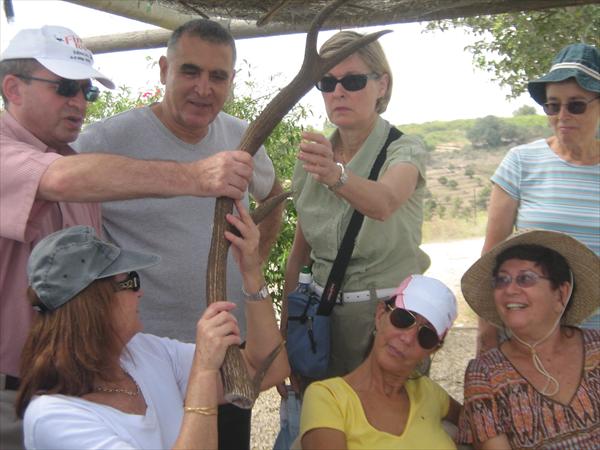 טיולי גימלאים