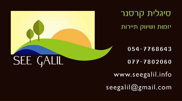 עיצוב לוגו + כרטיס ביקור